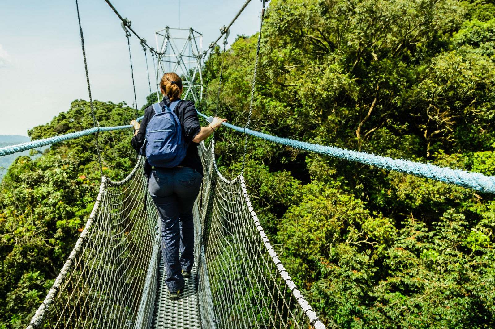 Flora and Fauna in Nyungwe Forest national Park